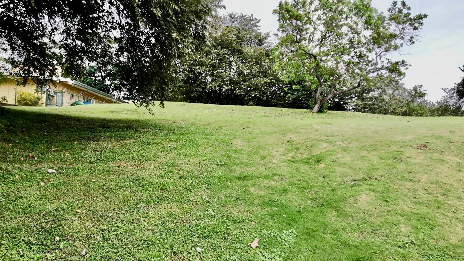 res-00006146-04.jpg