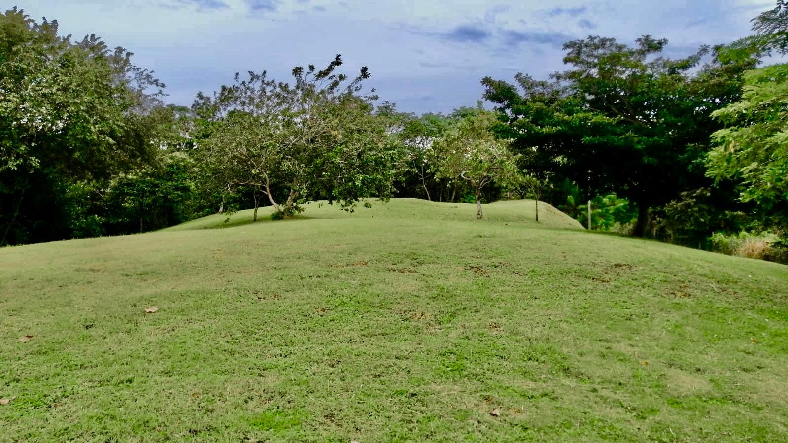 res-00006146-05.jpg