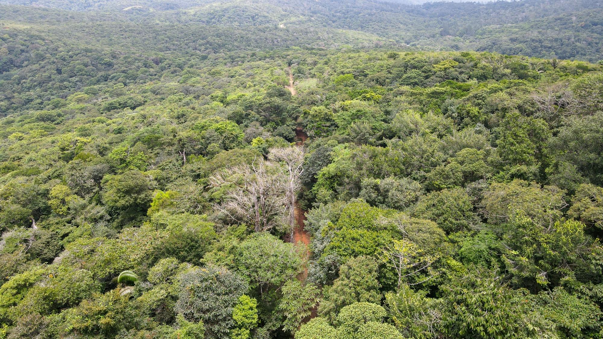 res-00006154-02.jpg