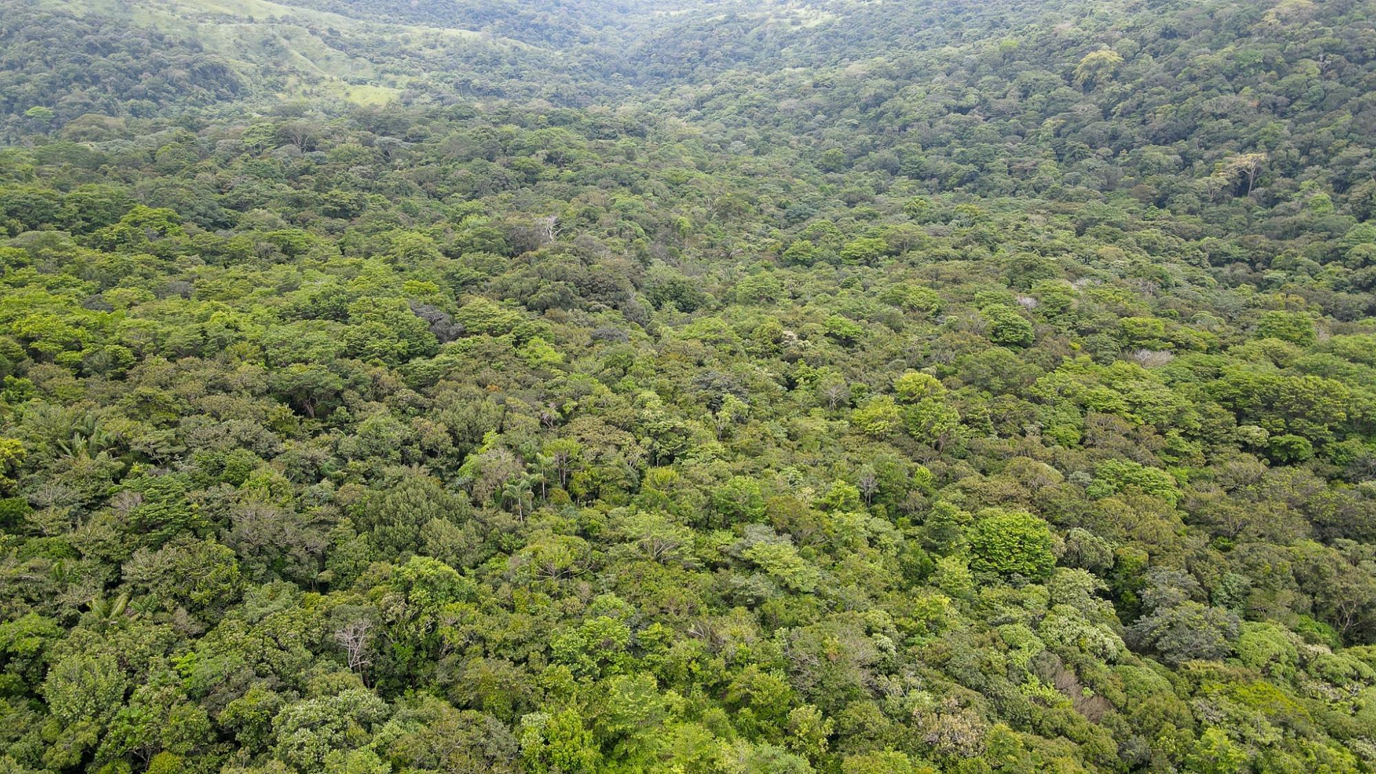 res-00006154-05.jpg