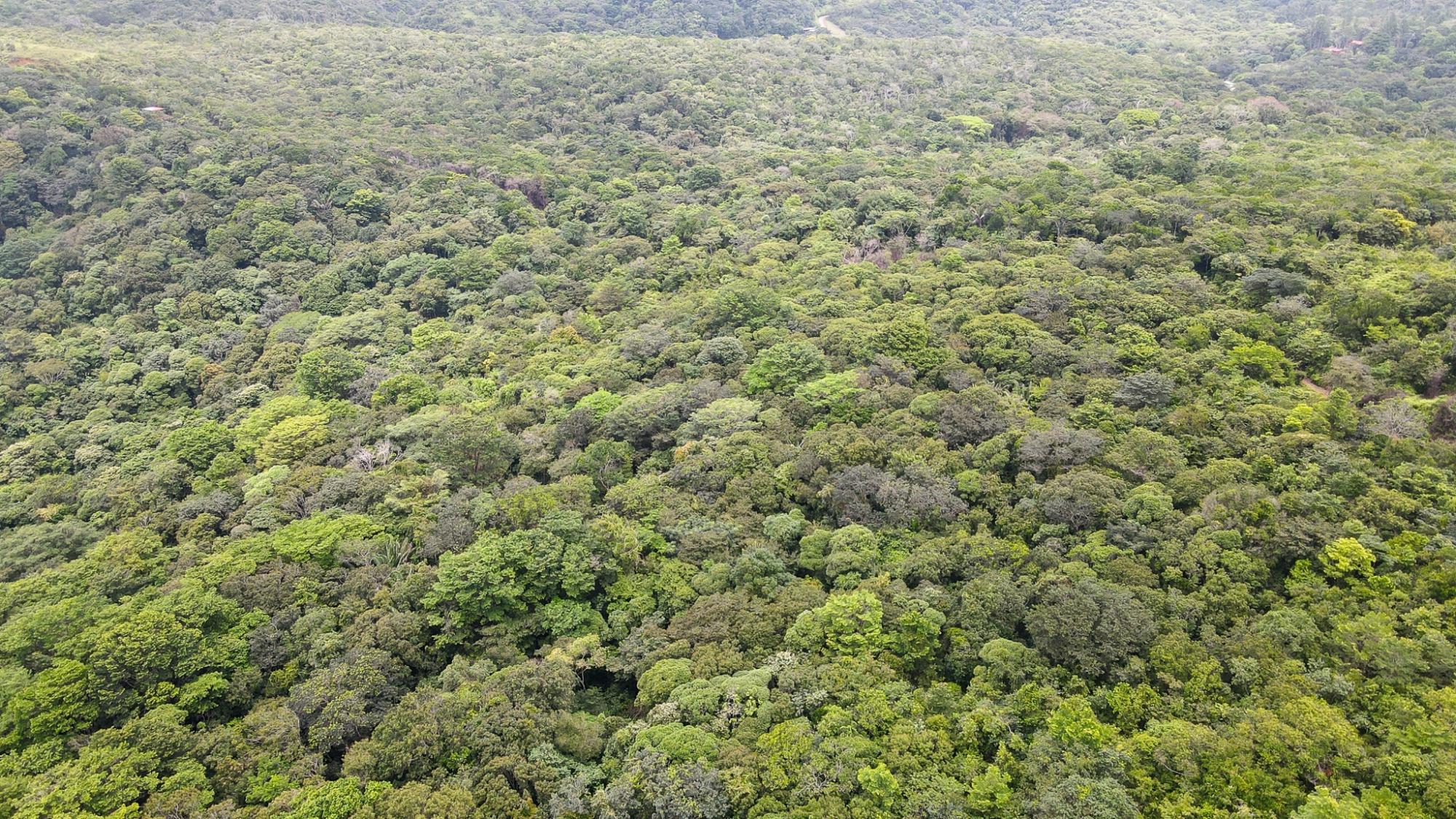 res-00006154-07.jpg