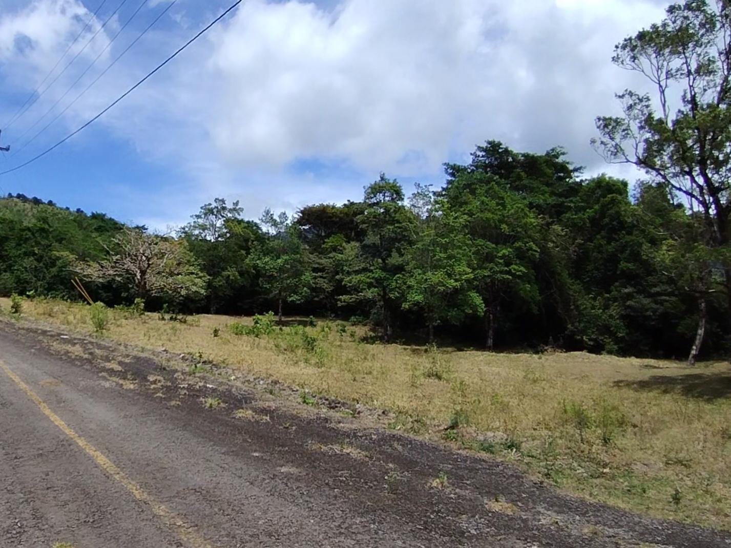 res-00006155-05.jpg