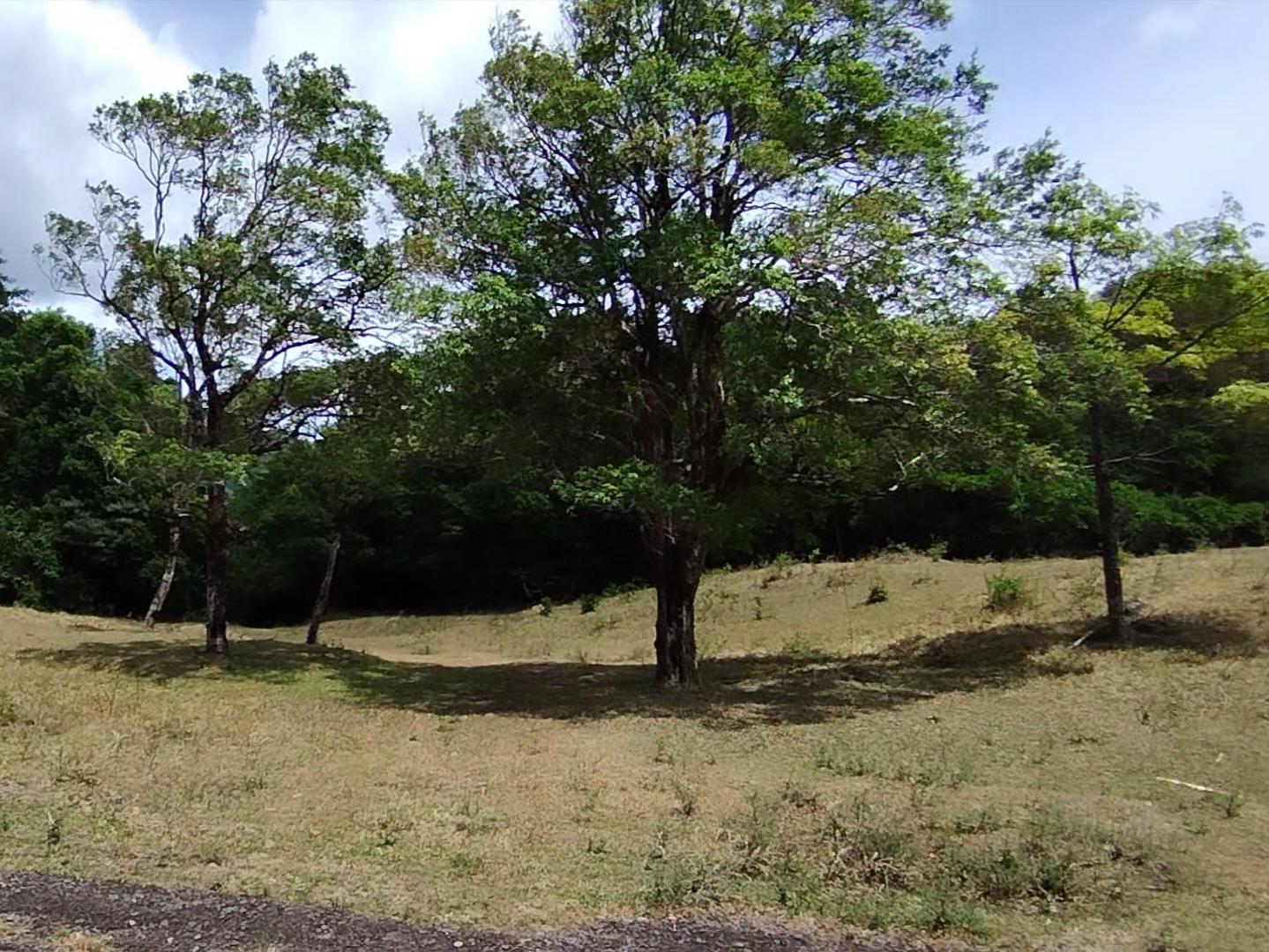res-00006155-06.jpg