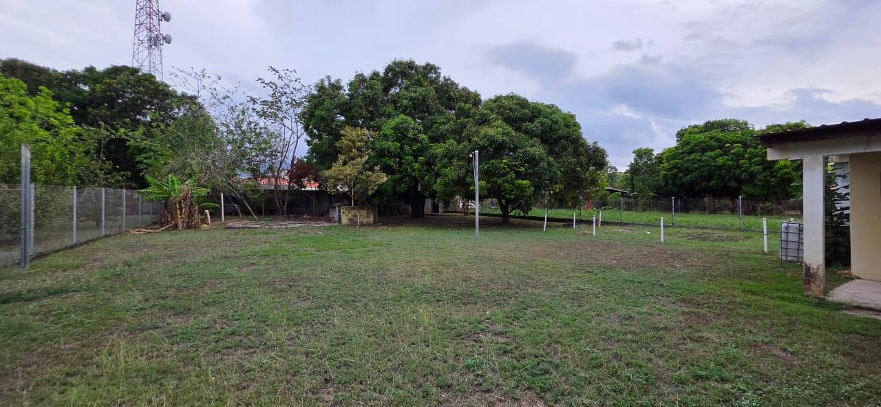 res-00006174-03.jpg
