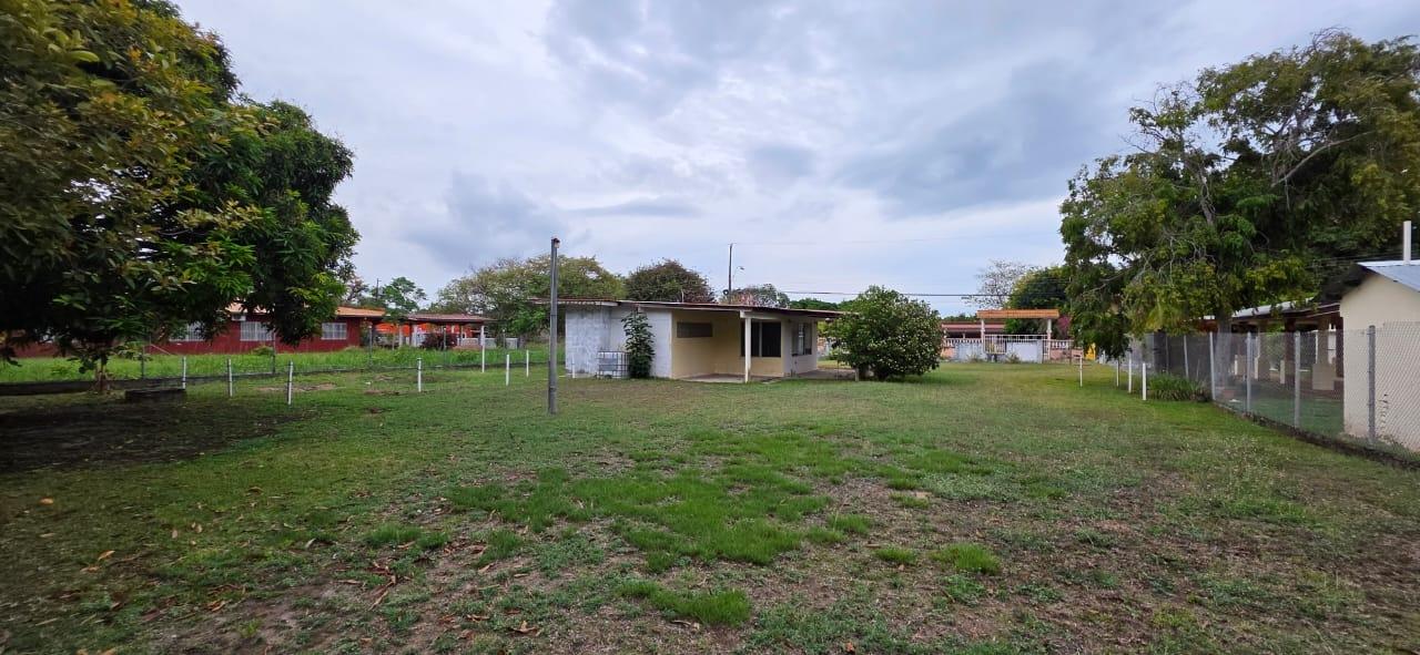 res-00006174-04.jpg