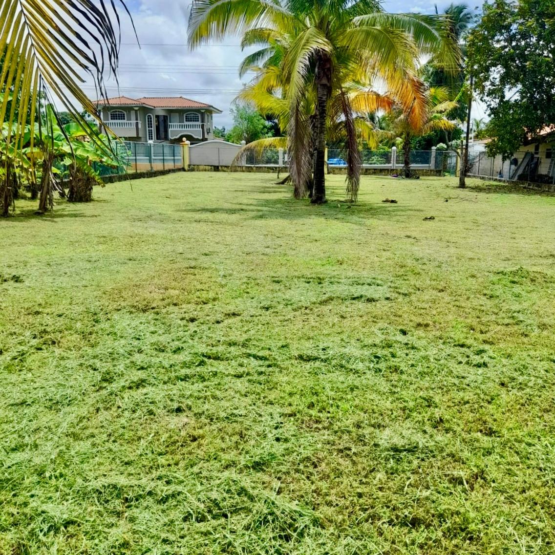res-00006178-04.jpg