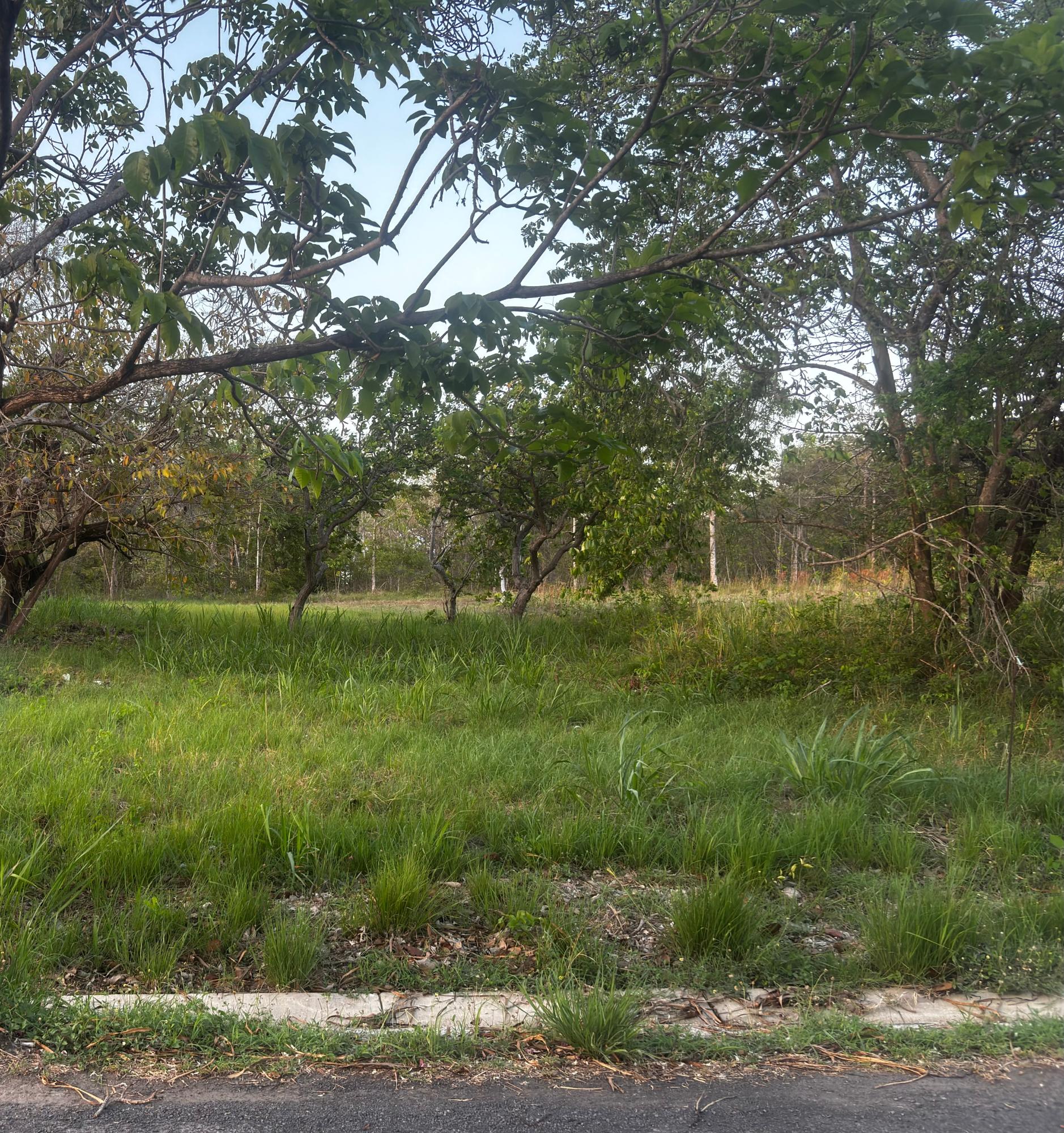 res-0000617a-01.jpg