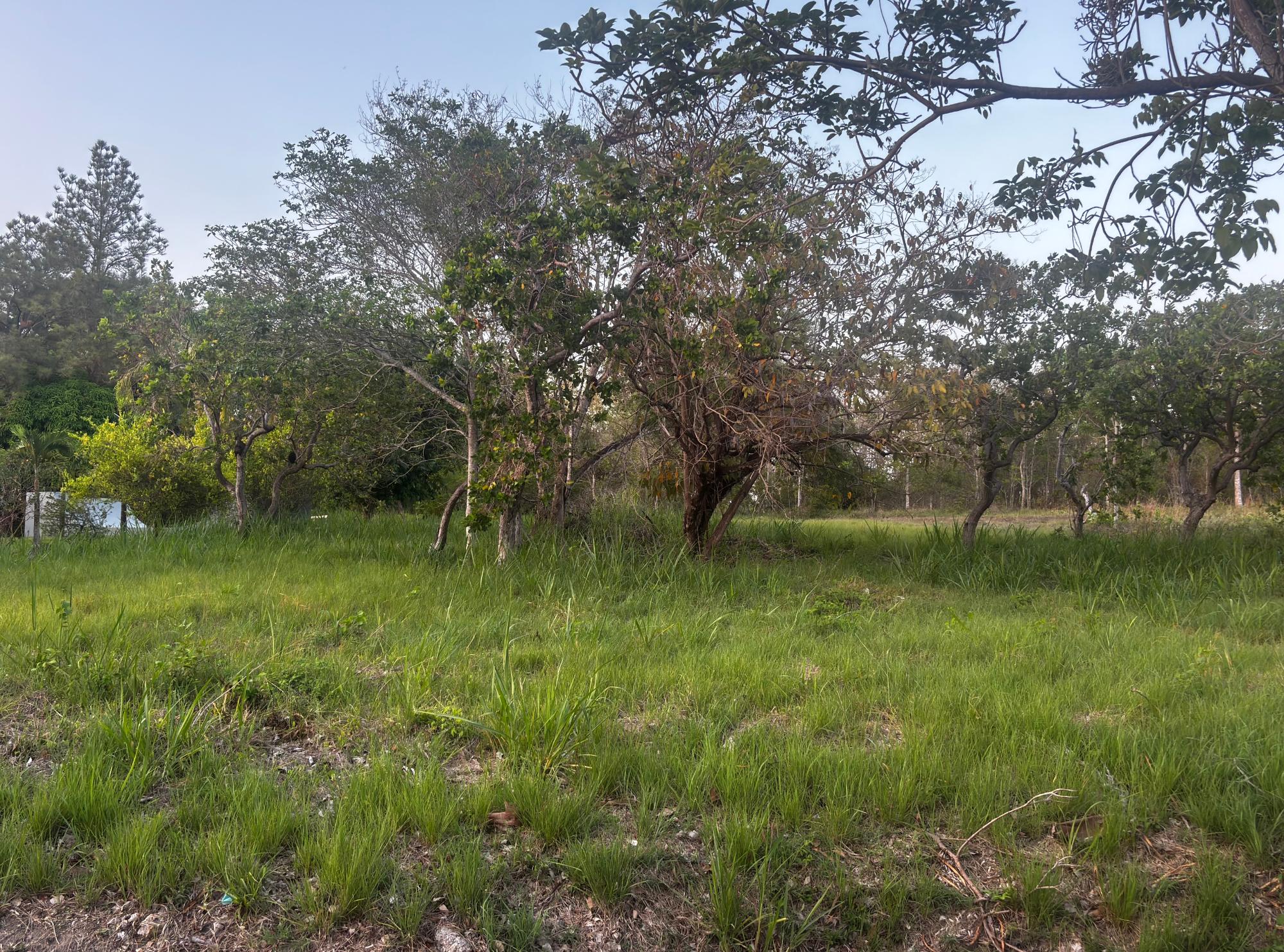 res-0000617a-07.jpg