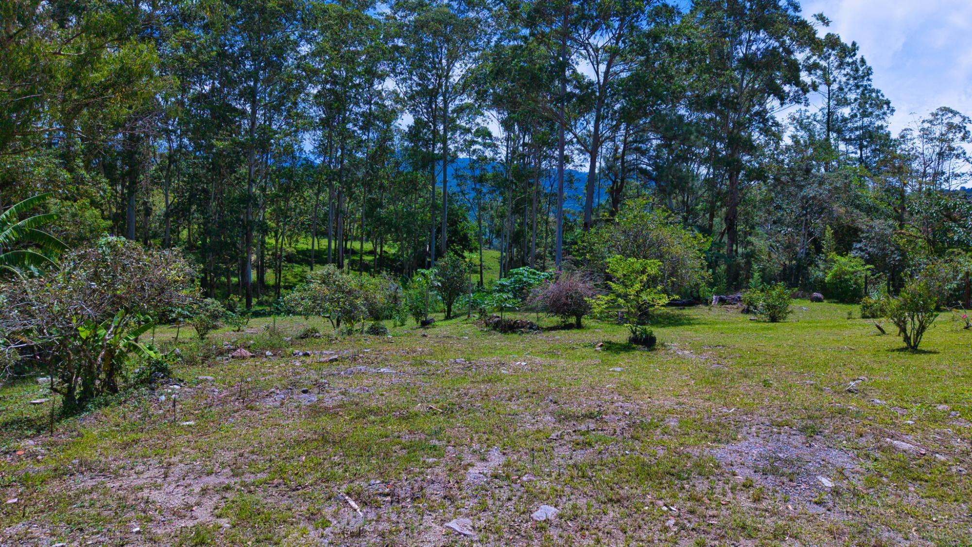 res-00006188-04.jpg