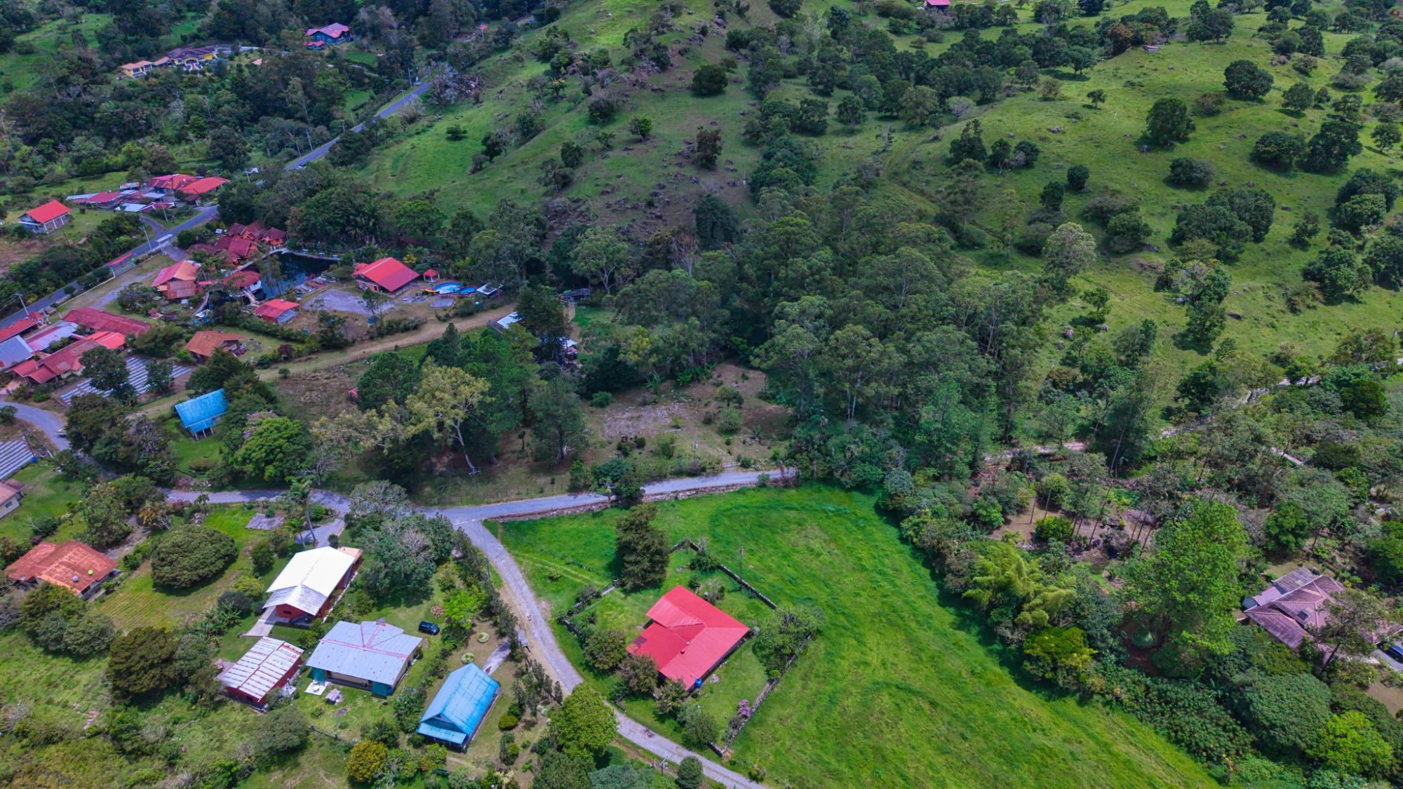 res-00006188-06.jpg