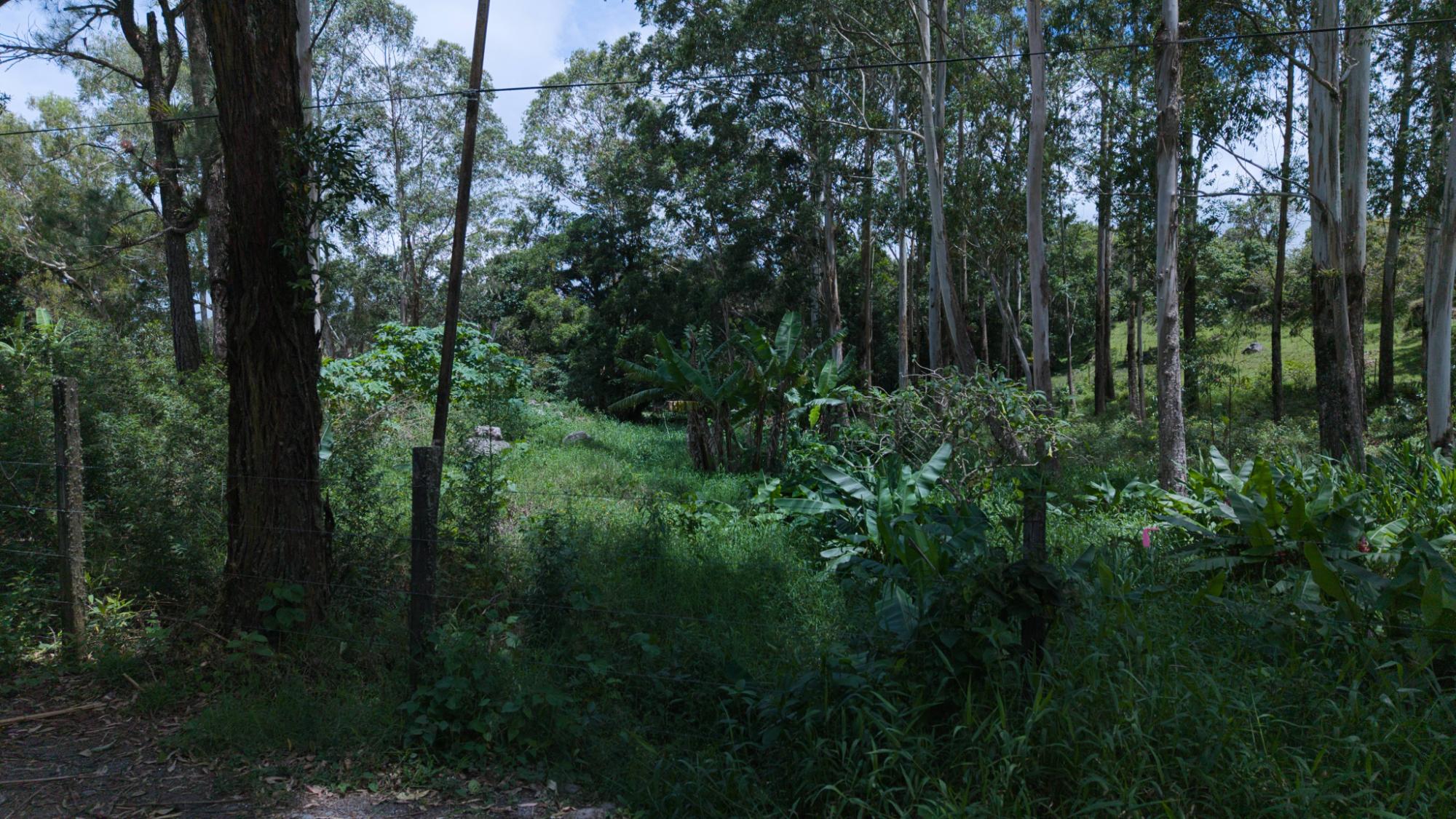 res-00006188-16.jpg