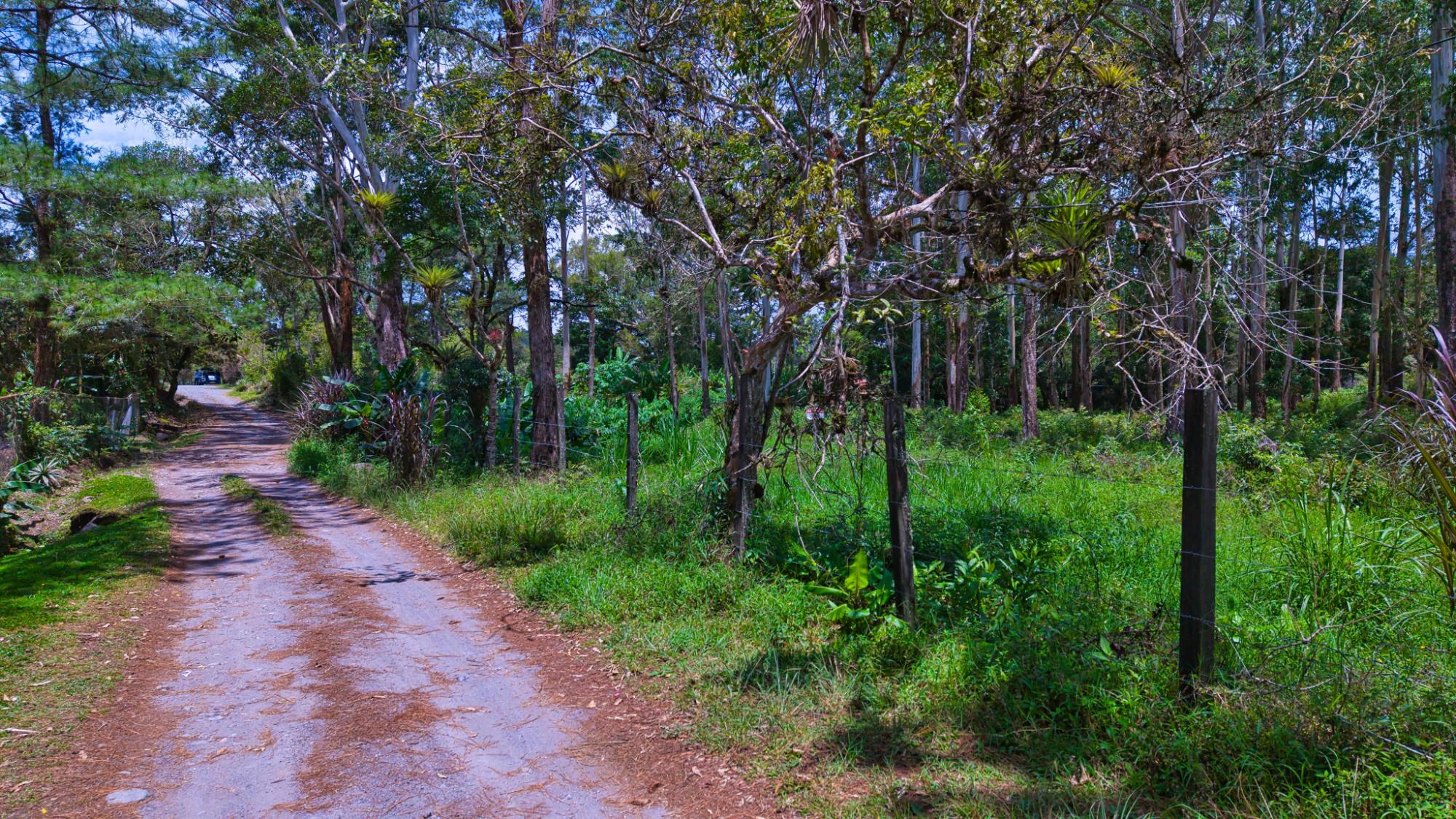 res-00006188-18.jpg