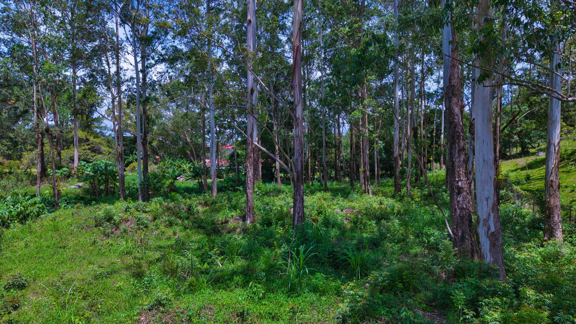 res-00006188-20.jpg