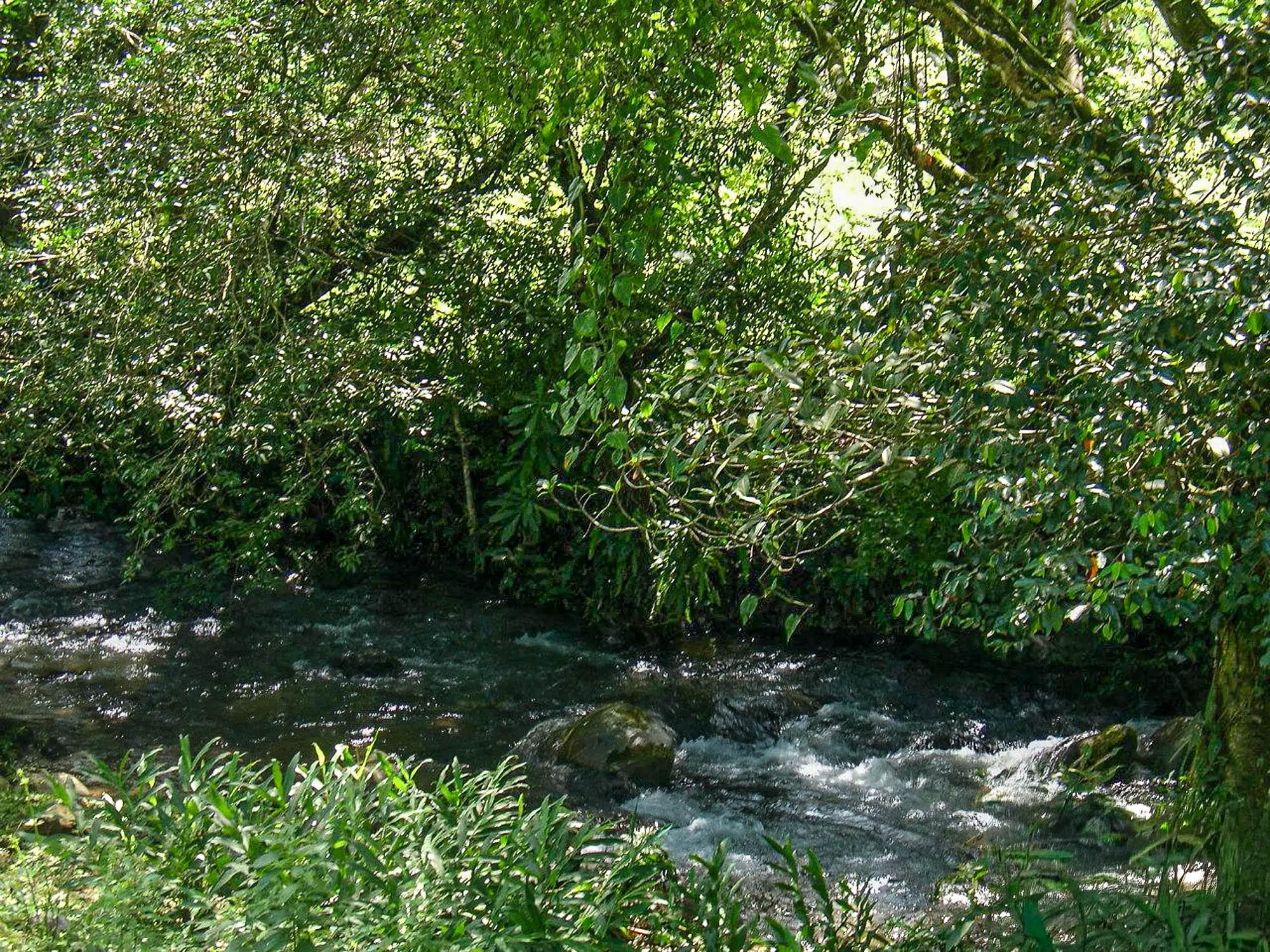 res-0000618e-04.jpg