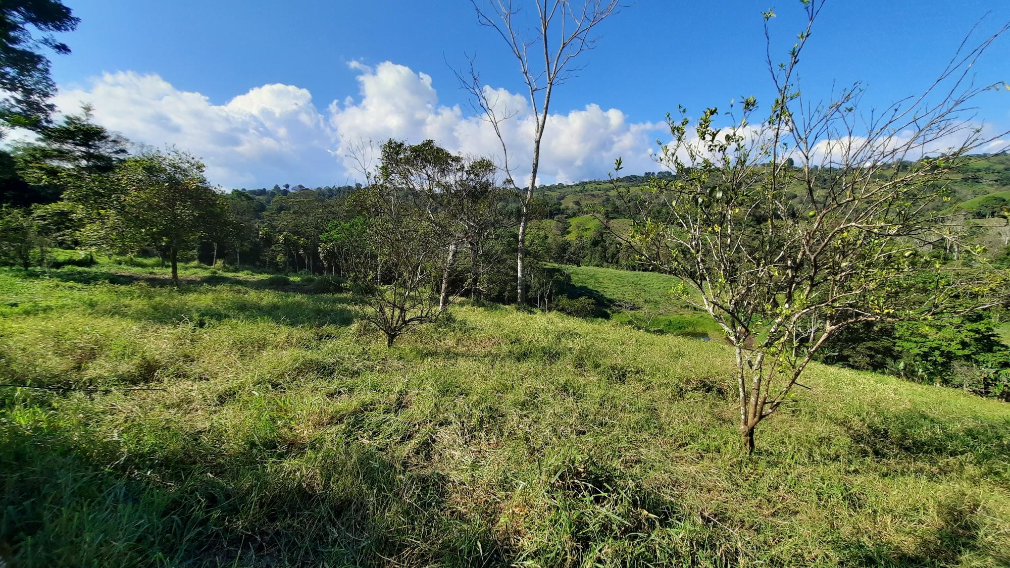 res-000061a3-02.jpg