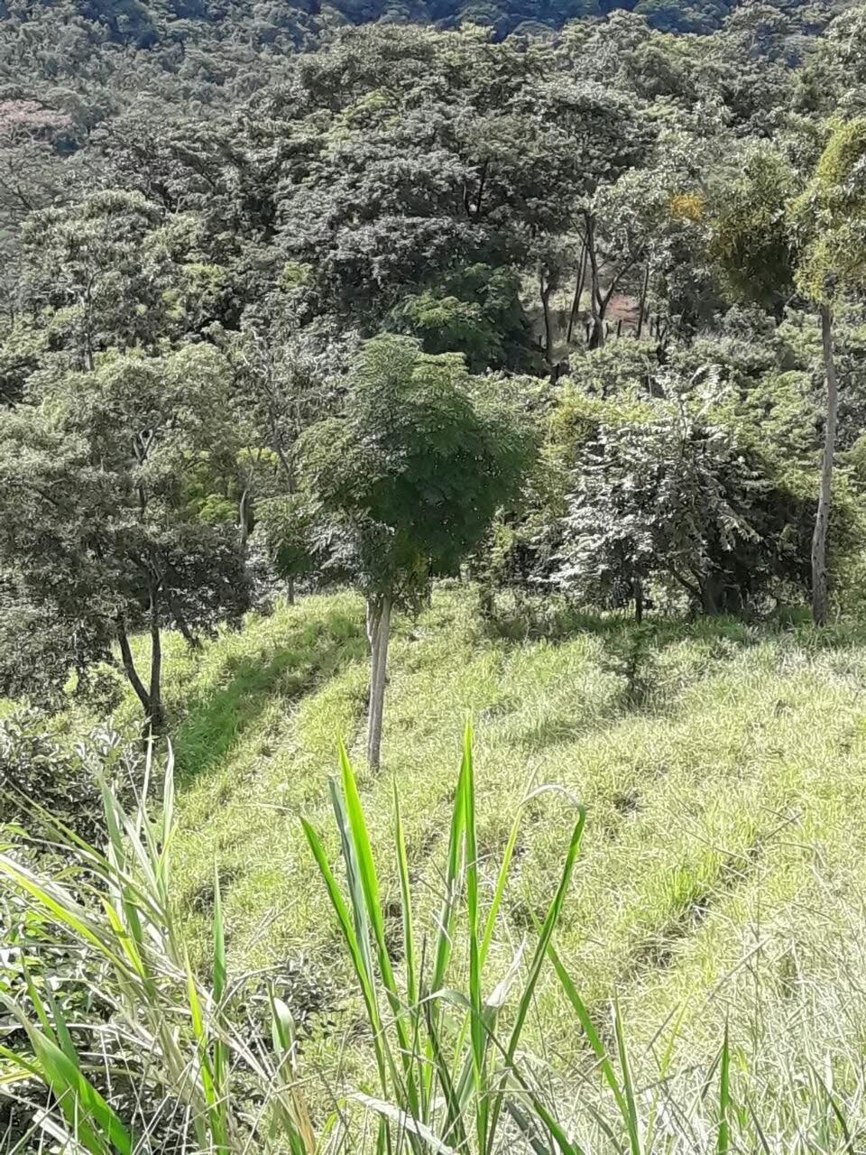 res-000061aa-08.jpg