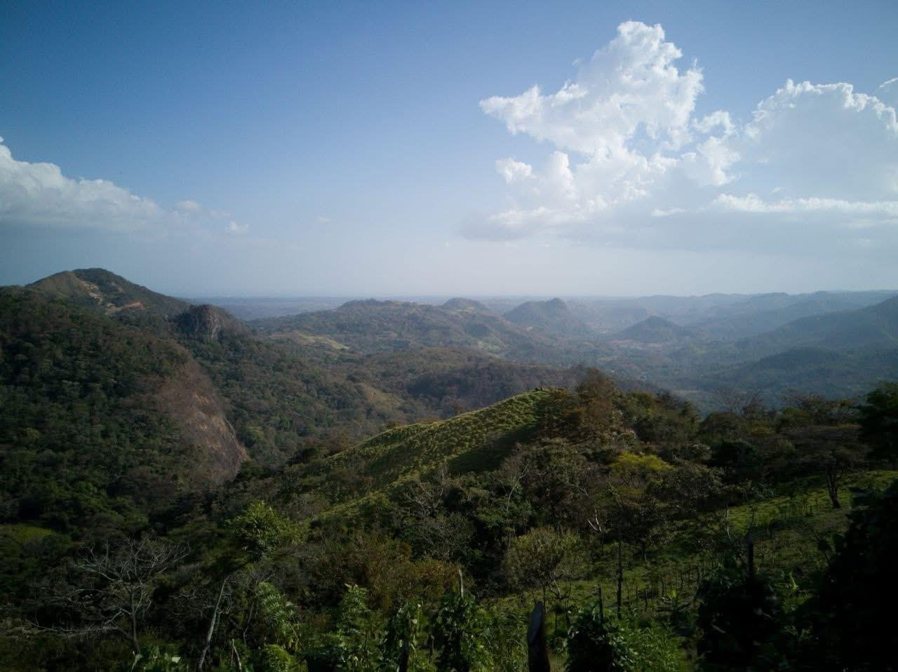res-000061aa-09.jpg