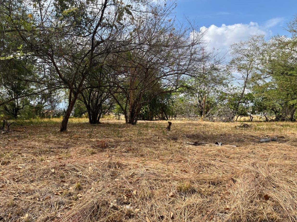 res-000061af-01.jpg