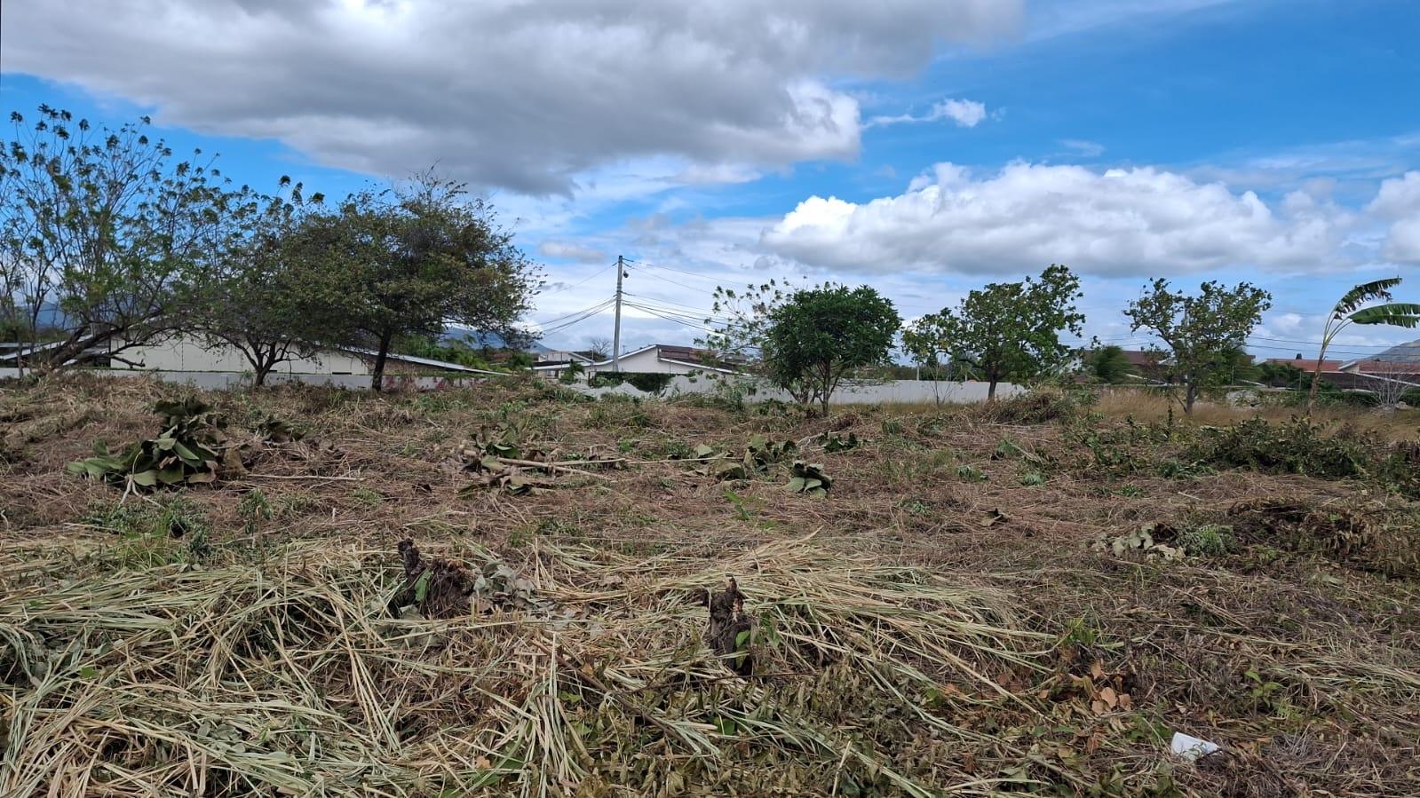 res-000061b0-04.jpg