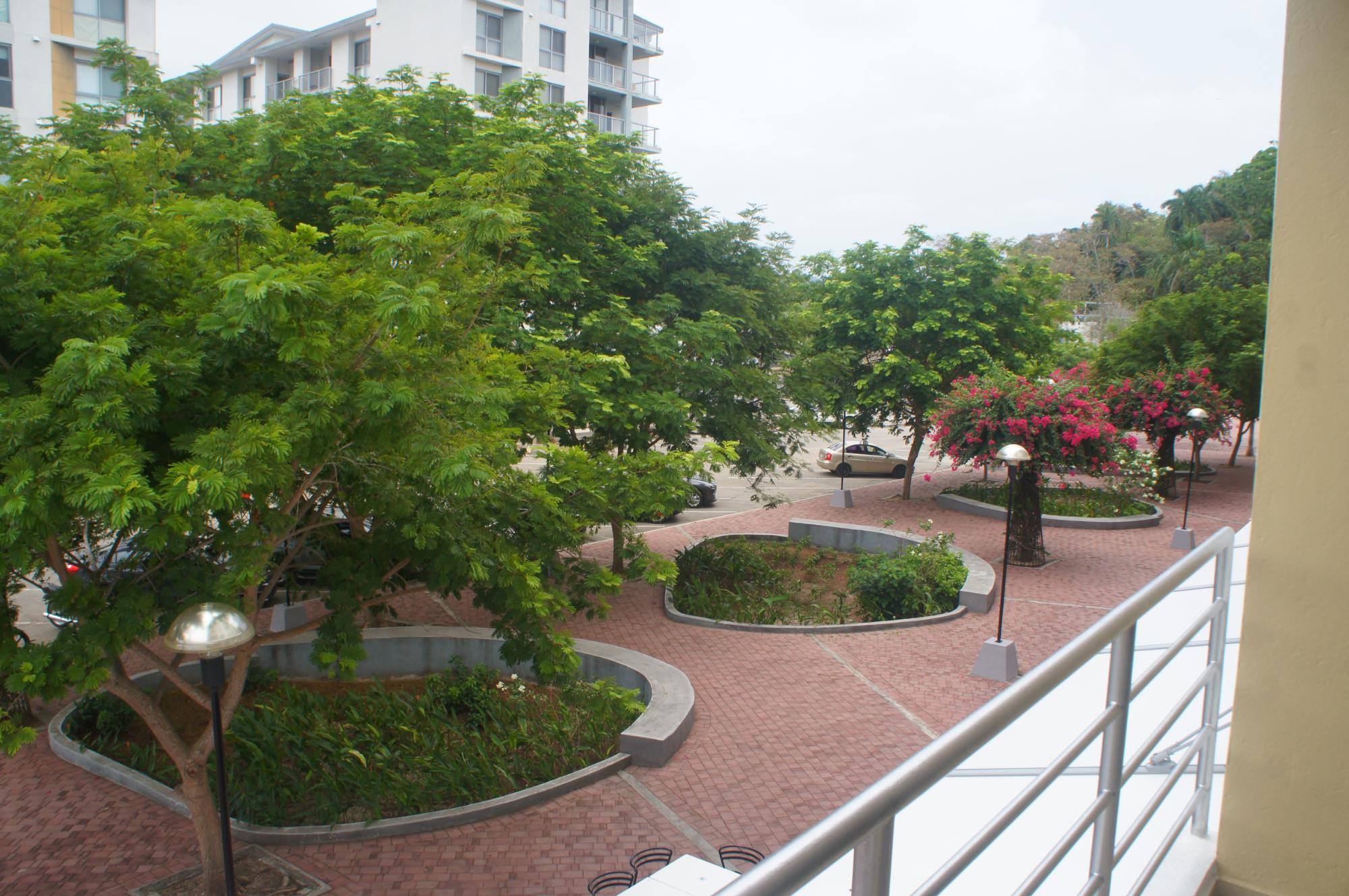 res-000061c1-10.jpg