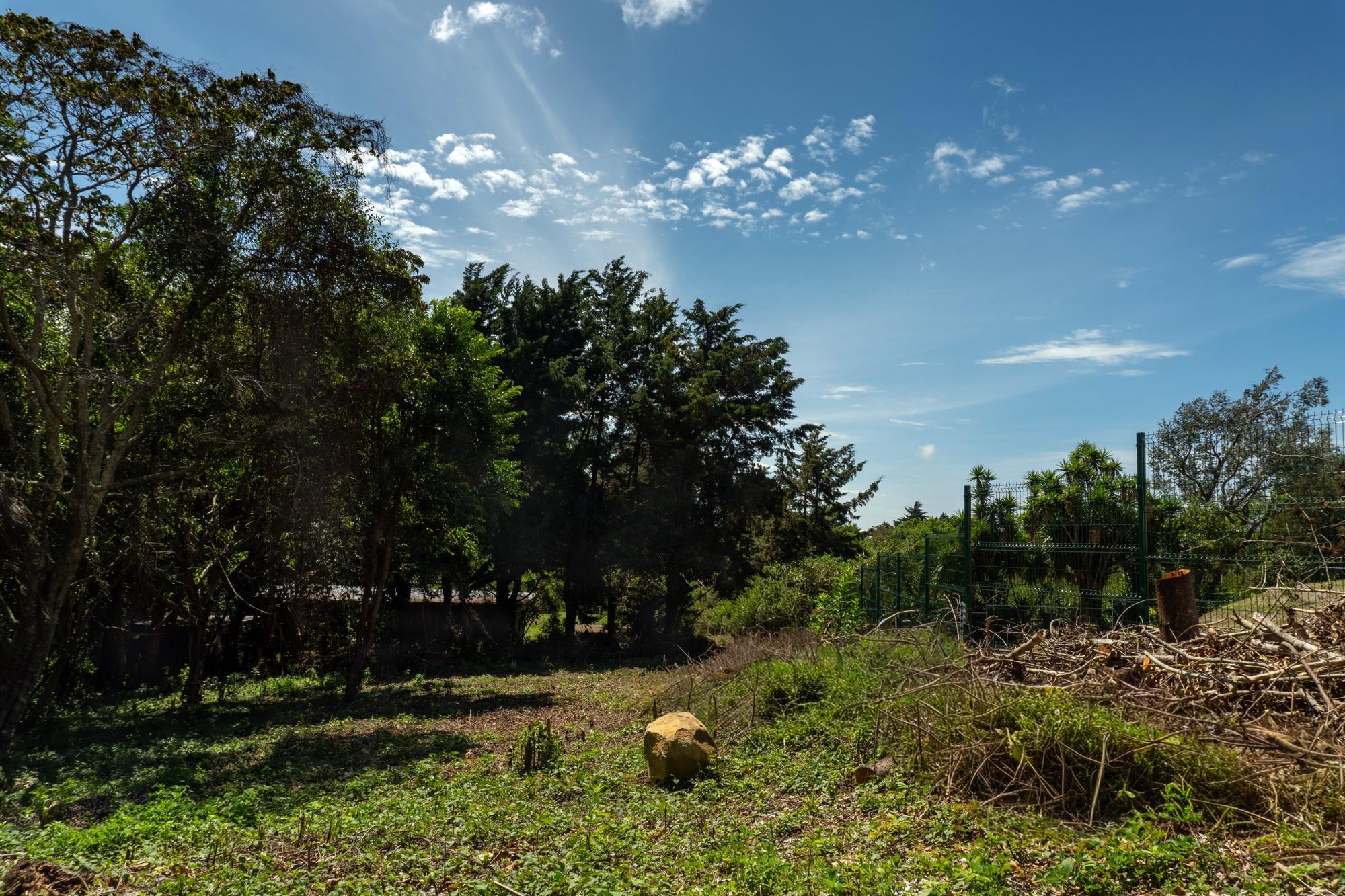 res-000061c2-06.jpg