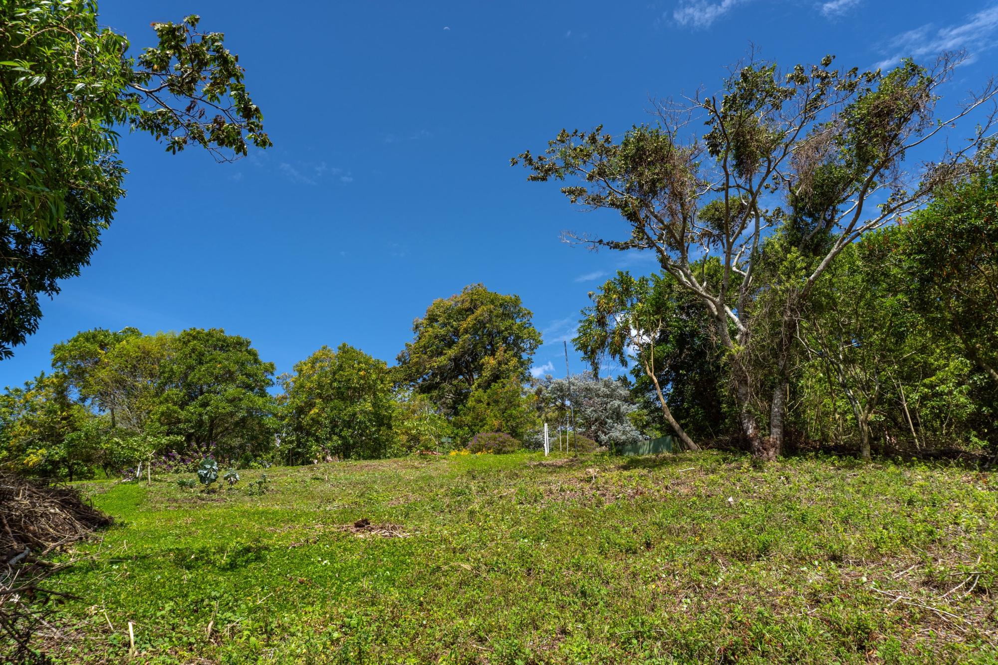 res-000061c3-09.jpg