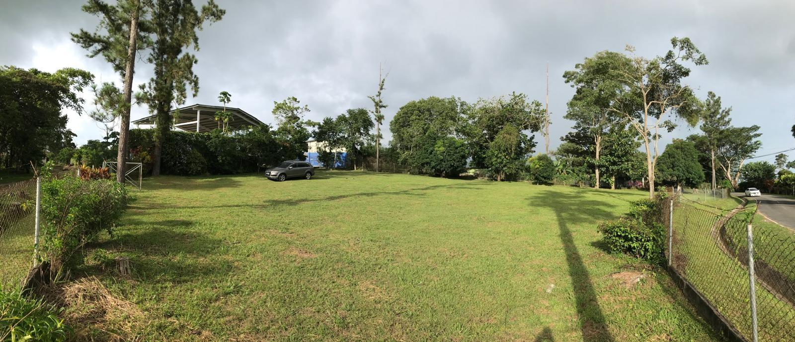 res-000061c8-05.jpg