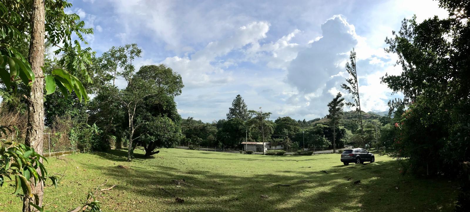 res-000061c8-10.jpg