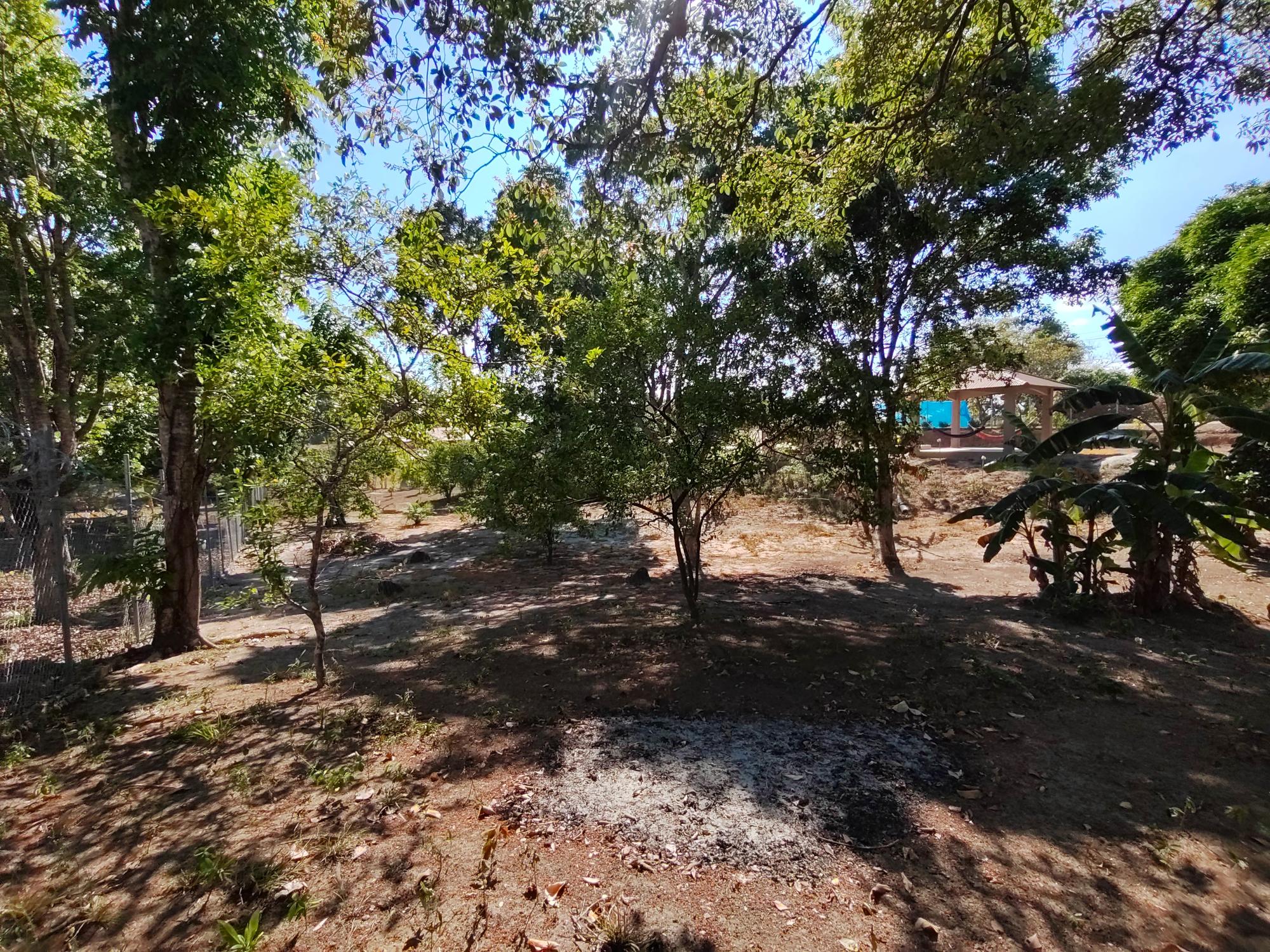 res-000061d1-14.jpg