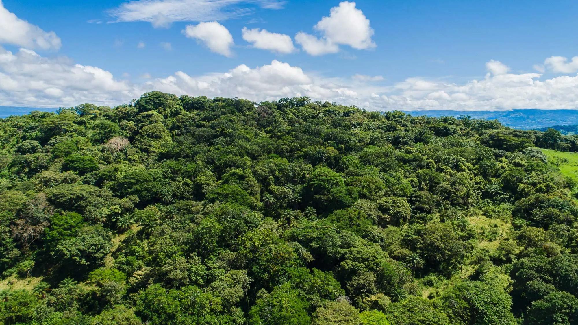 res-000061d4-05.jpg