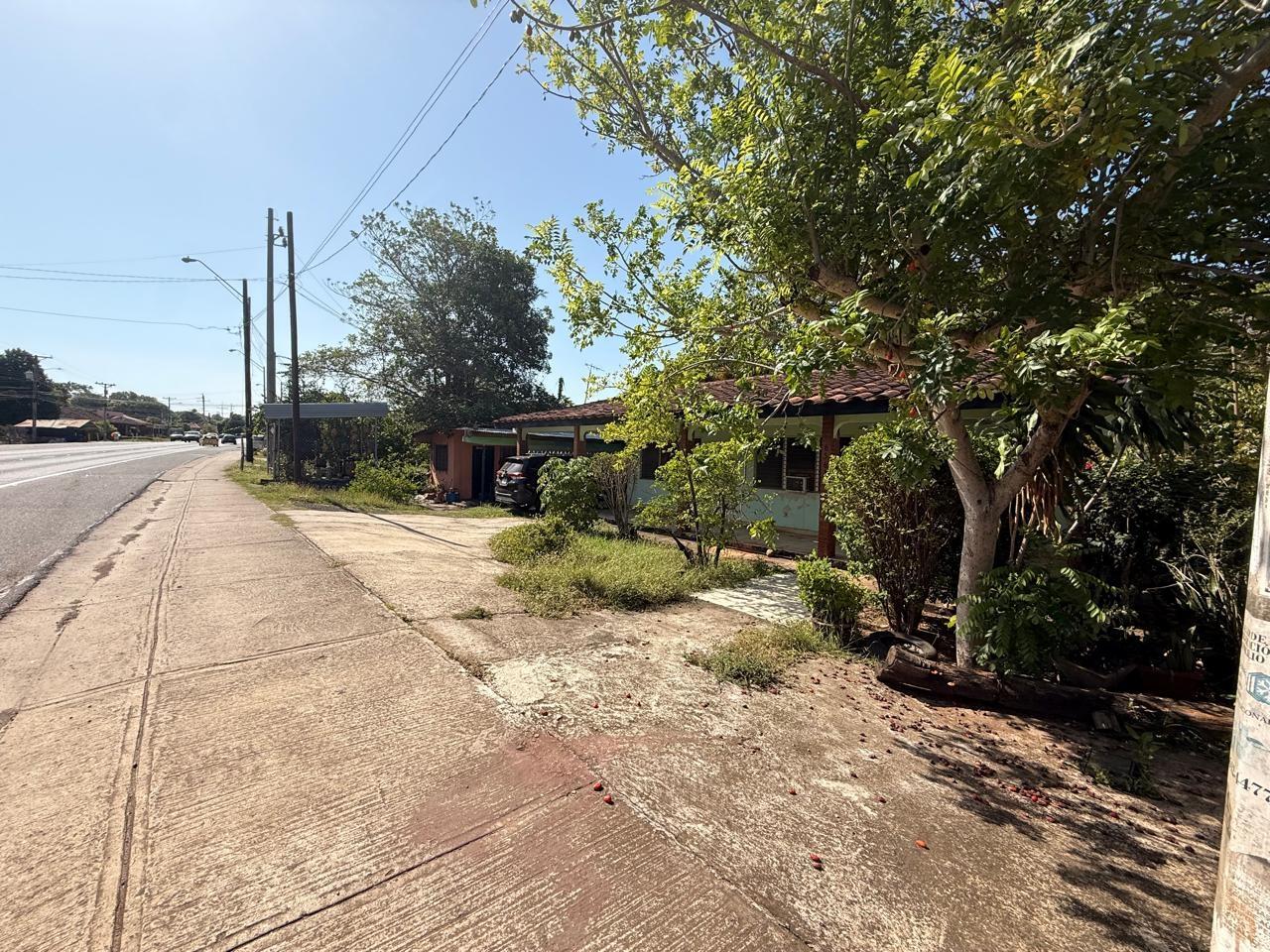res-000061d5-03.jpg