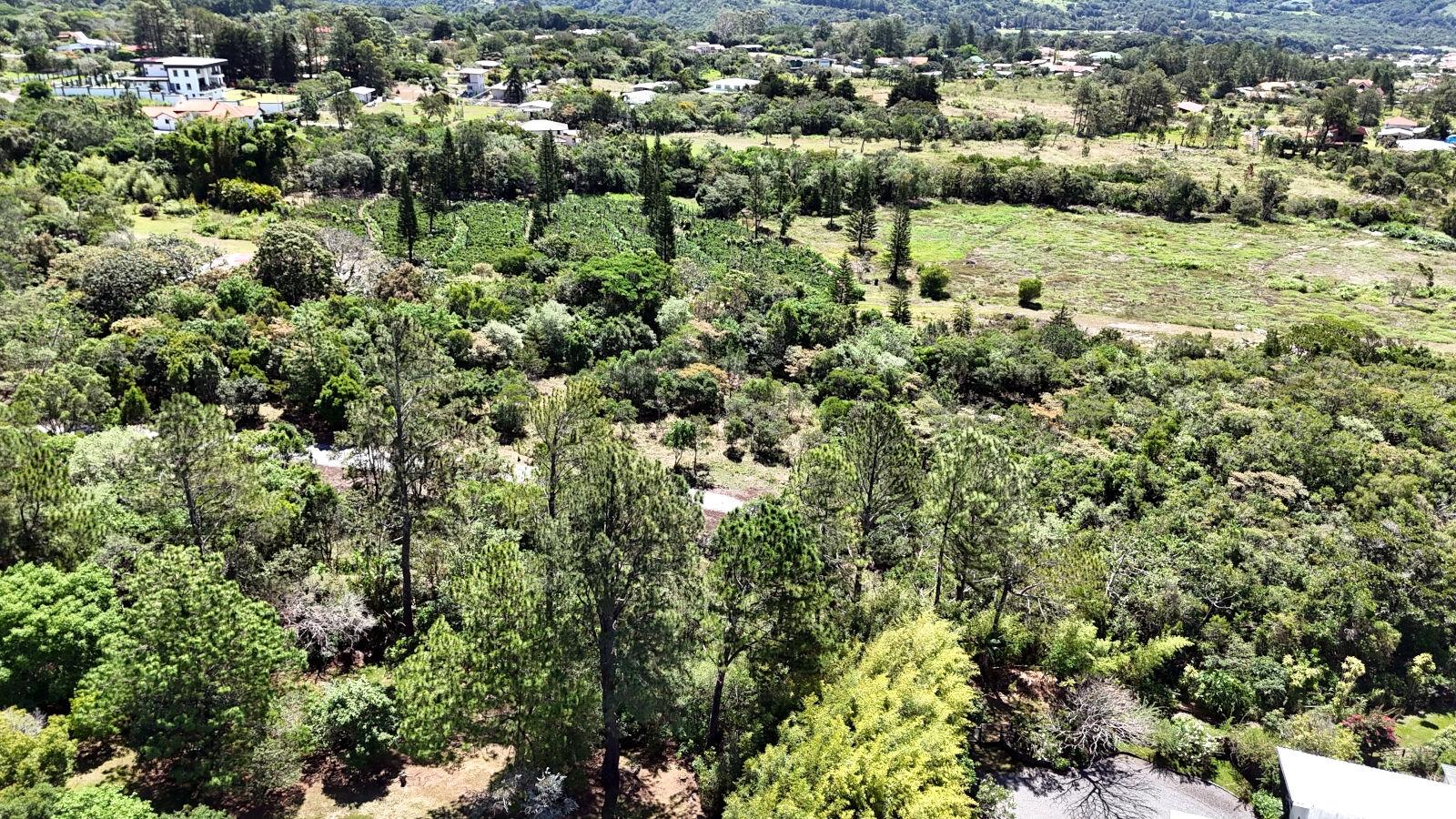 res-000061dc-09.jpg