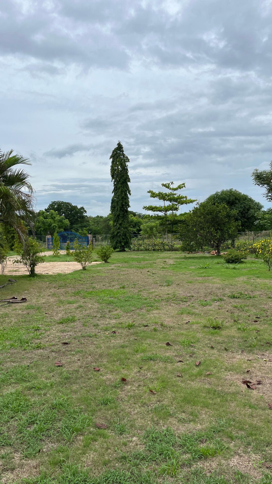 res-000061de-13.jpg