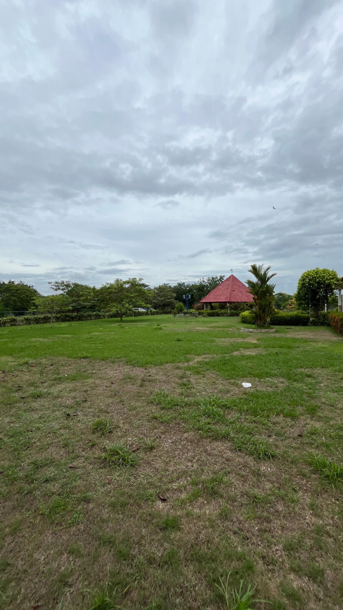 res-000061de-16.jpg