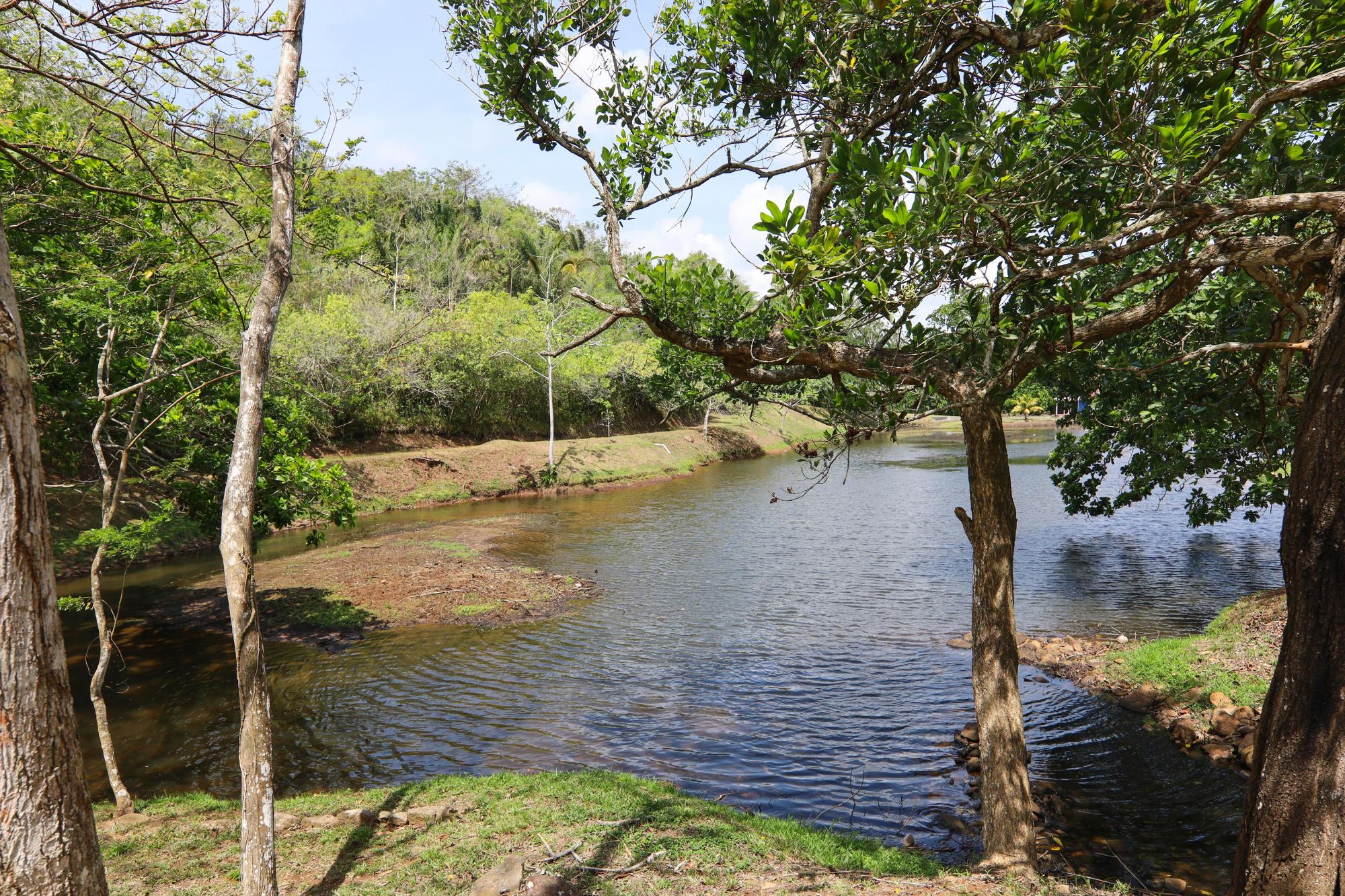 res-000061e2-15.jpg