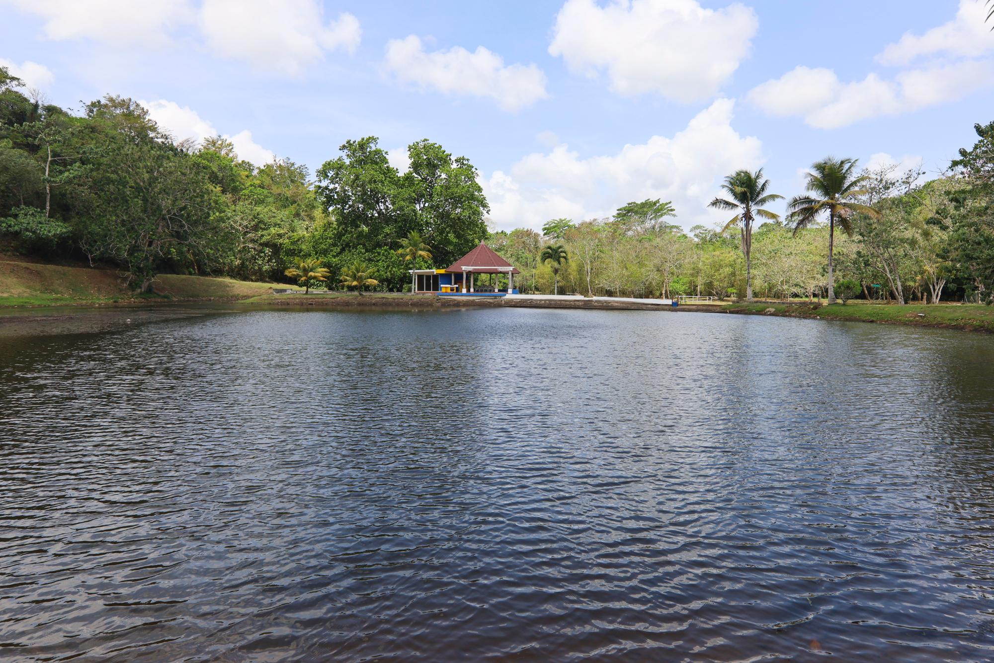res-000061e2-19.jpg