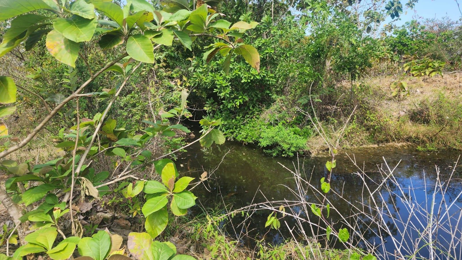res-000061e8-02.jpg