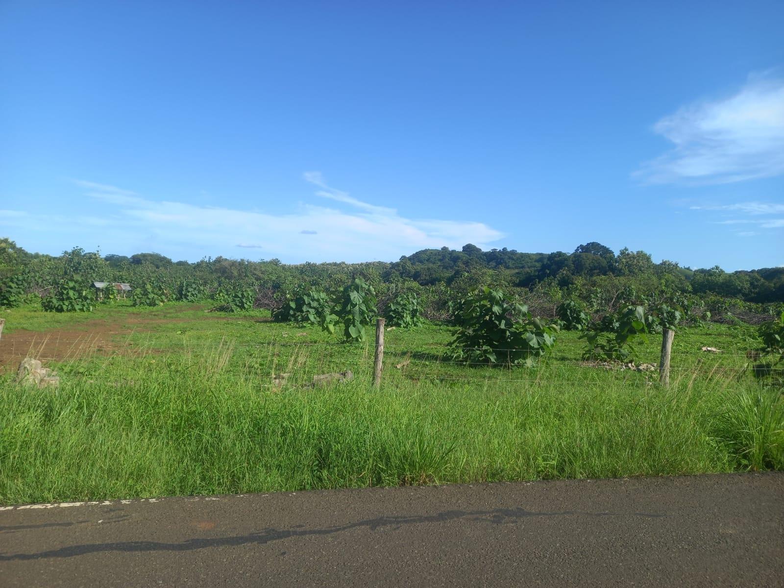 res-000061e8-08.jpg