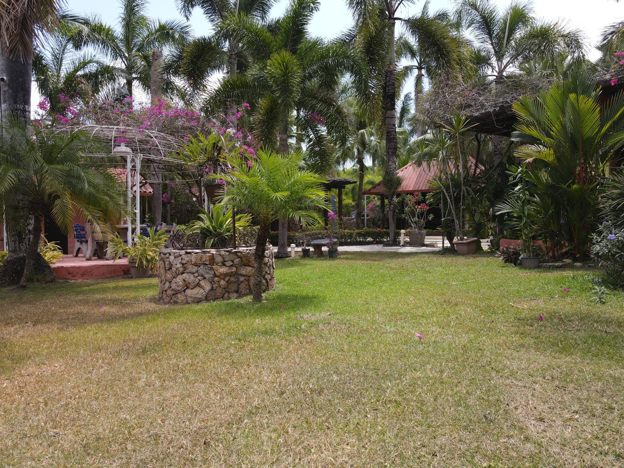 res-0000620c-08.jpg