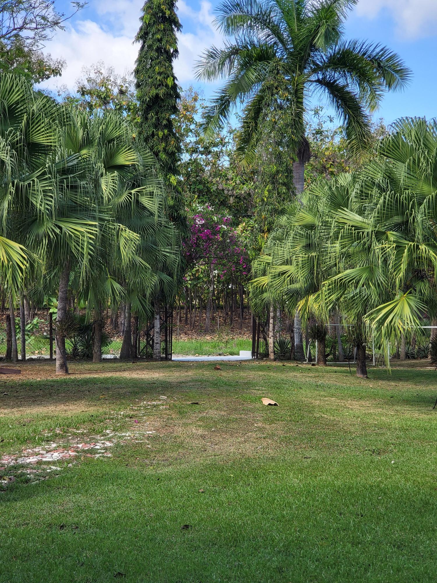 res-0000620c-11.jpg