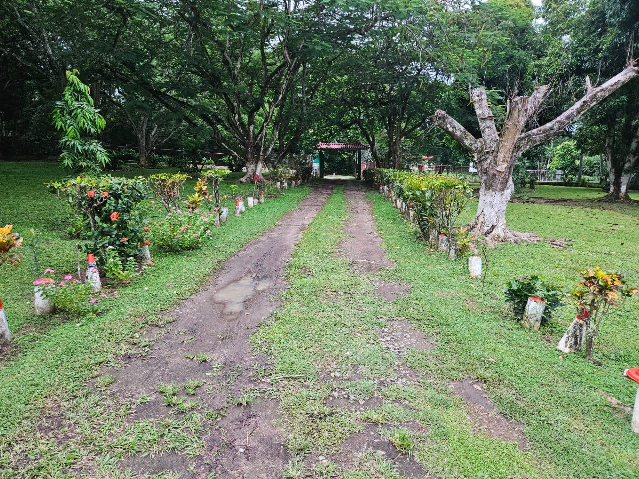 res-0000620f-05.jpg