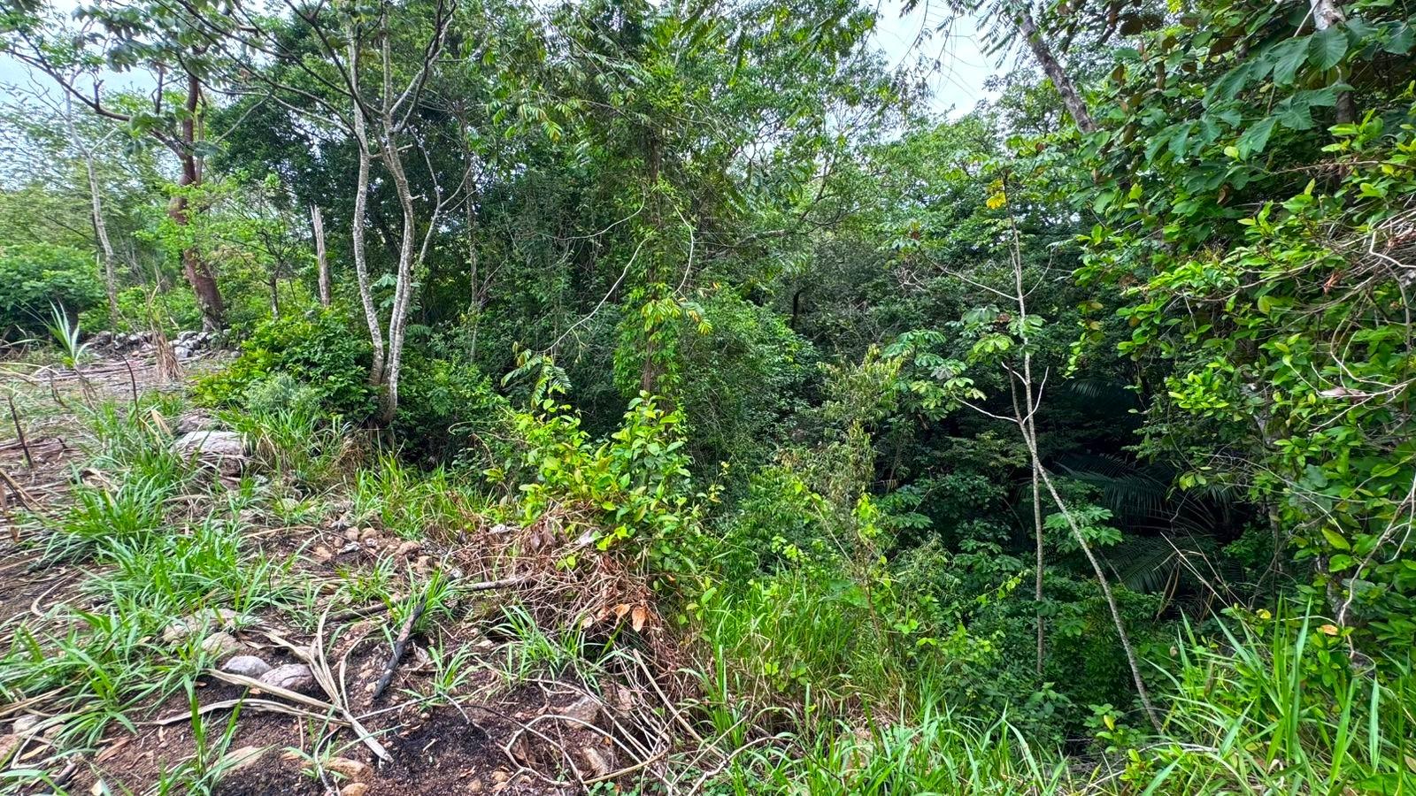 res-00006225-09.jpg