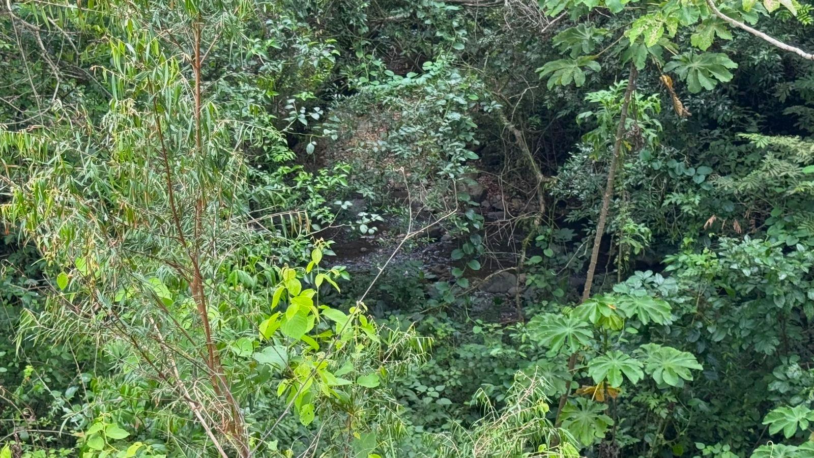 res-00006225-10.jpg