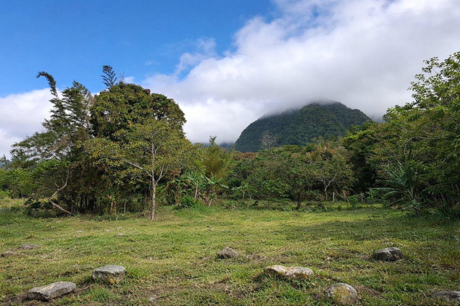 res-00006226-04.jpg