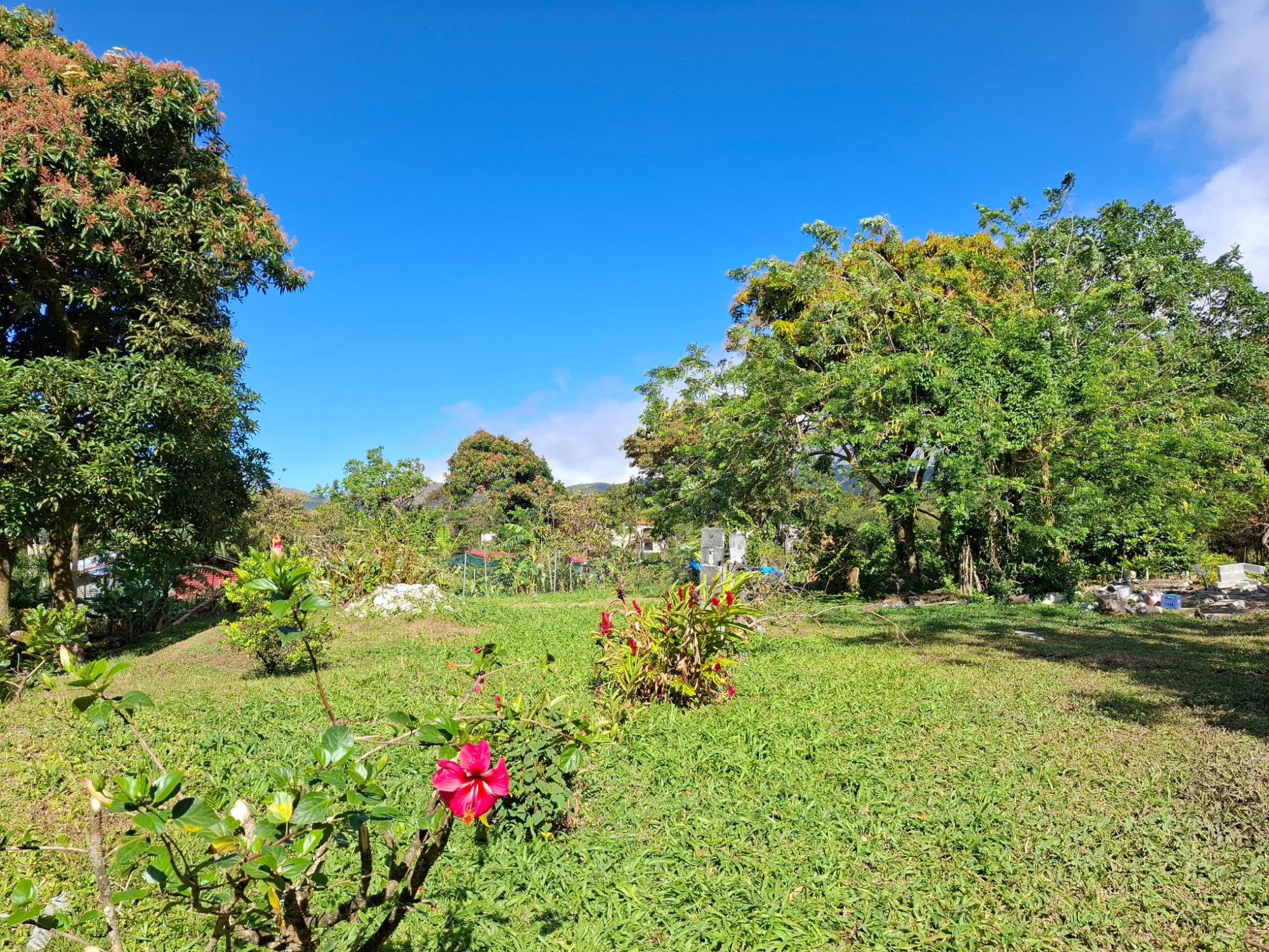 res-00006226-06.jpg