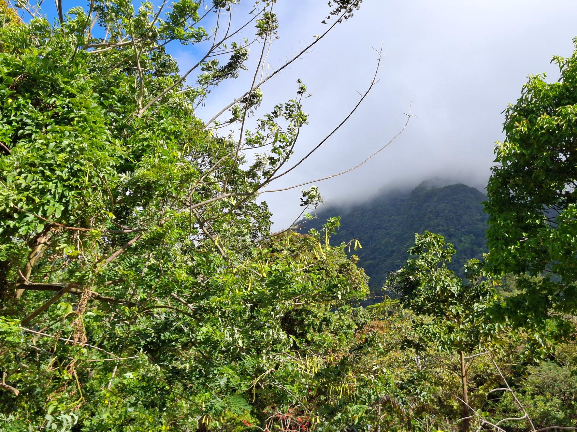 res-00006226-08.jpg