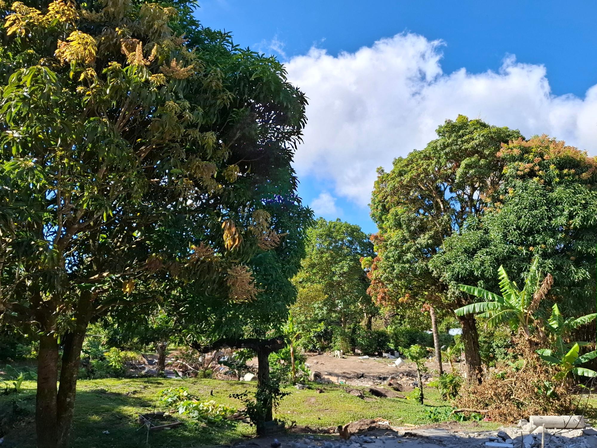 res-00006226-12.jpg