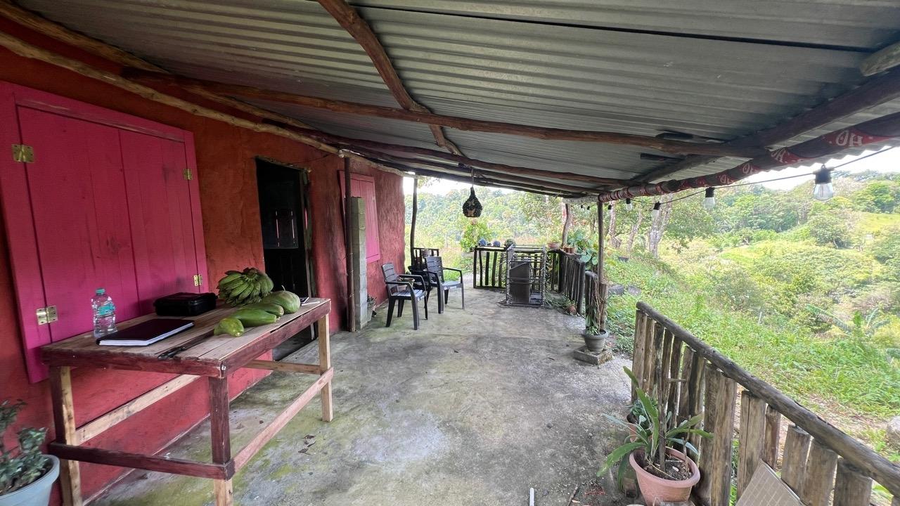 res-00006233-09.jpg