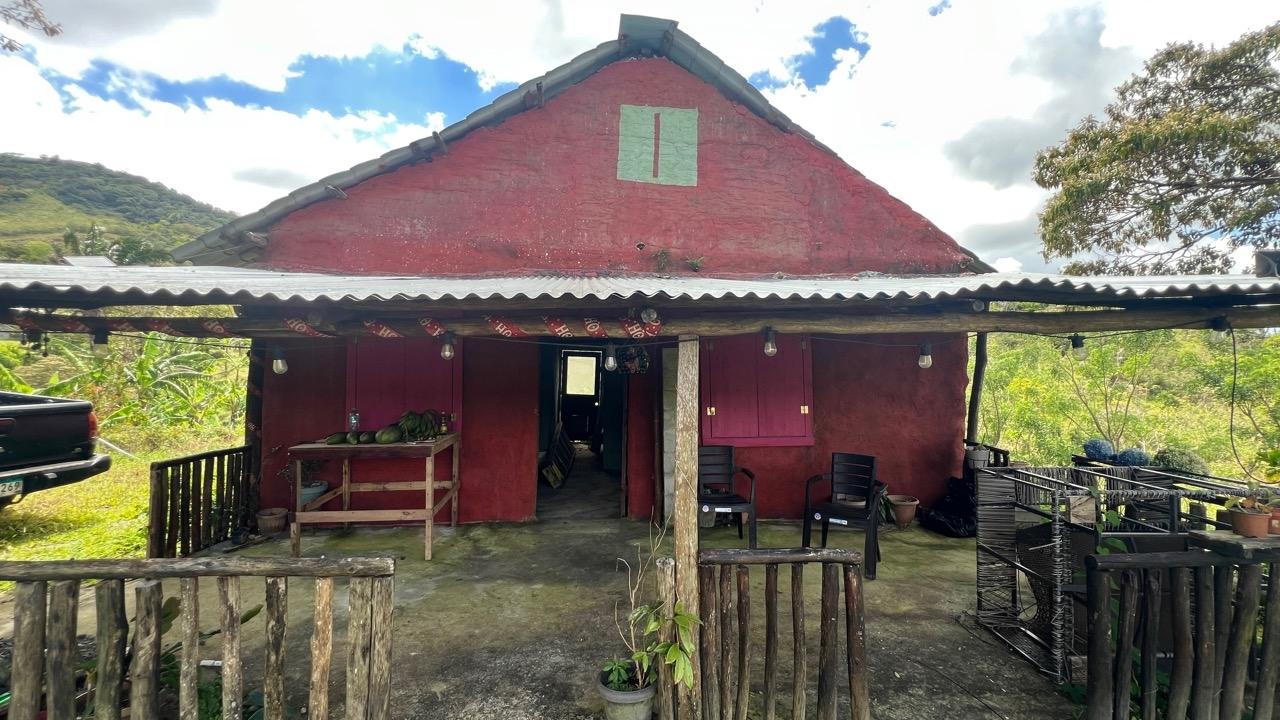 res-00006233-10.jpg