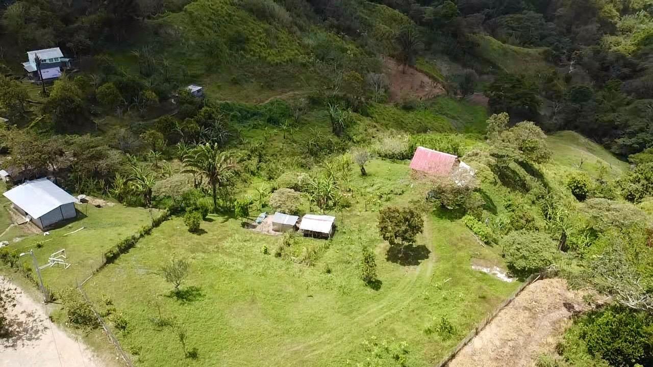 res-00006233-14.jpg